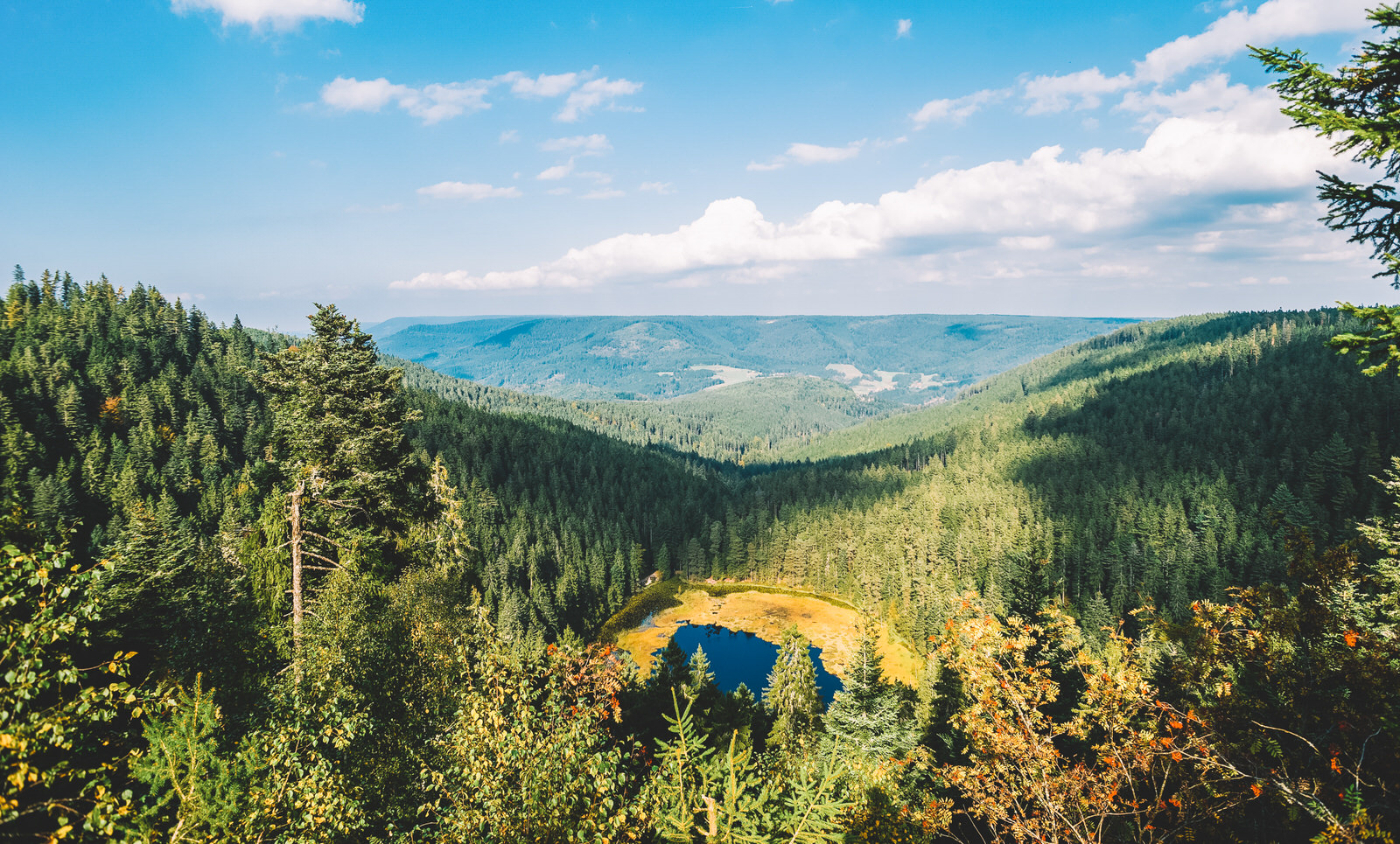 Discovering the enchanting Black Forest National Park